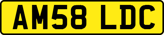 AM58LDC