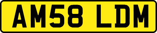 AM58LDM
