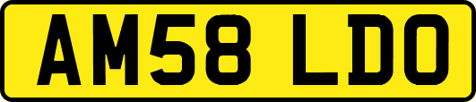 AM58LDO