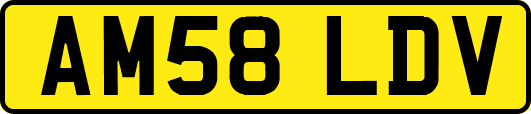 AM58LDV