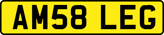 AM58LEG