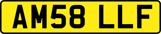 AM58LLF