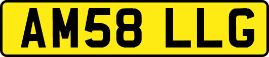 AM58LLG