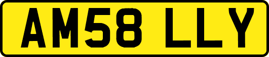 AM58LLY