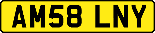 AM58LNY
