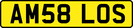AM58LOS