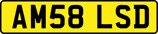 AM58LSD