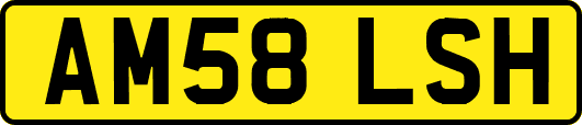 AM58LSH