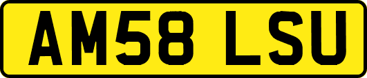 AM58LSU