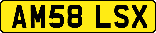 AM58LSX