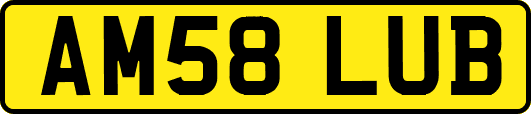 AM58LUB