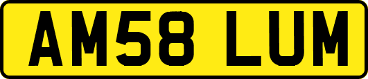AM58LUM