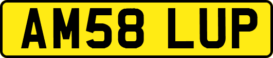 AM58LUP