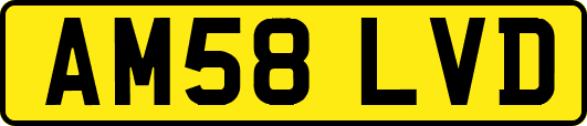 AM58LVD