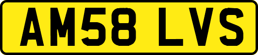 AM58LVS