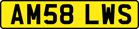 AM58LWS