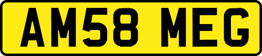 AM58MEG