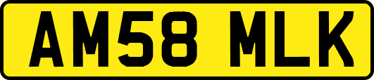 AM58MLK