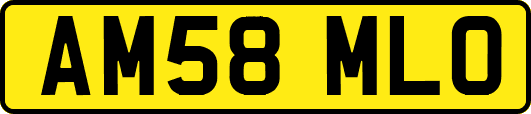 AM58MLO