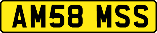 AM58MSS