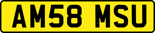 AM58MSU