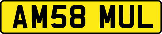 AM58MUL