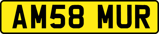 AM58MUR