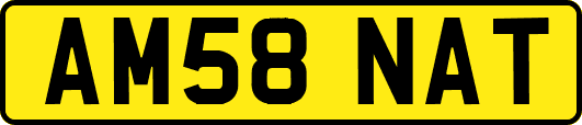 AM58NAT