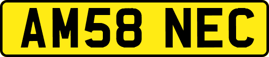 AM58NEC
