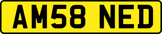 AM58NED