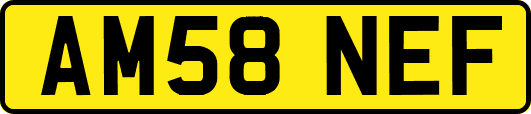 AM58NEF