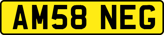 AM58NEG