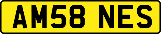 AM58NES