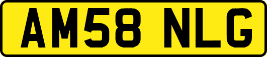 AM58NLG