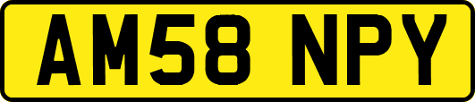 AM58NPY