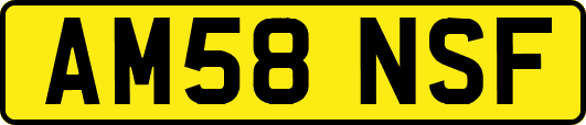 AM58NSF