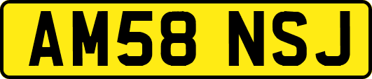 AM58NSJ