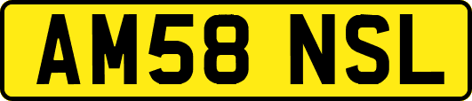 AM58NSL
