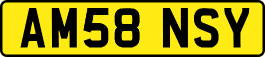 AM58NSY