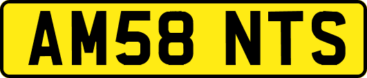AM58NTS