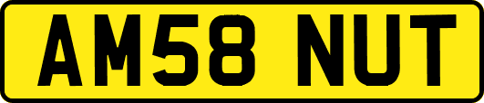 AM58NUT
