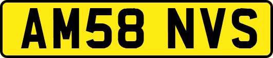 AM58NVS