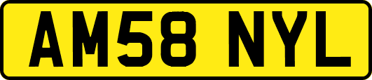 AM58NYL