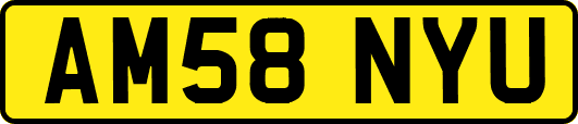 AM58NYU