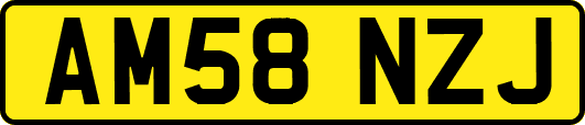 AM58NZJ