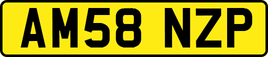 AM58NZP