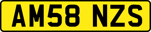 AM58NZS