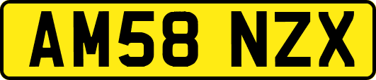 AM58NZX