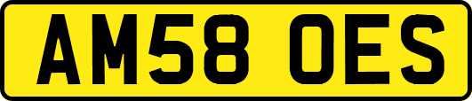 AM58OES