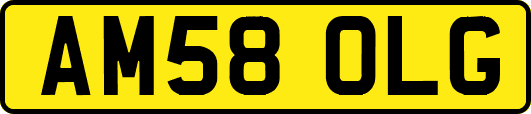AM58OLG